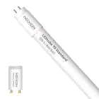 Noxion LED Röhre T8 Avant (EM/Mains) Standard Output 7.5W 900lm - 840 Kaltweiß | 60cm - Ersatz Für 18W